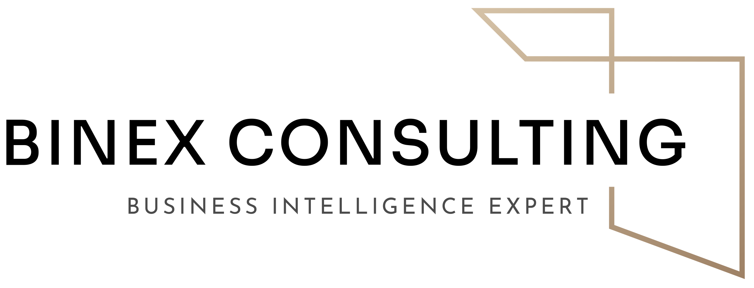 Binex Consulting